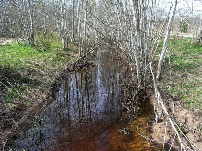 Maakond: Viljandimaa Veekogu nimi: Raadi oja Pildistamise aeg: 24. aprill 2008 Pildistaja: H. Timm Pildistamise koht: teadmata Asimuut: