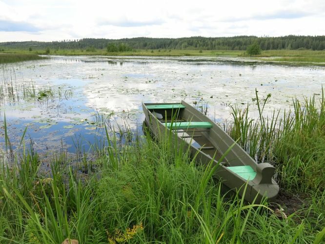 Maakond: Võrumaa Veekogu nimi: Raagsilla oja Pildistamise aeg: 15. august 2014 Pildistaja: H. Timm Pildistamise koht: Tabina paisjärv Asimuut: