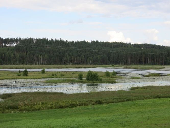 Maakond: Võrumaa Veekogu nimi: Raagsilla oja Pildistamise aeg: 15. august 2014 Pildistaja: H. Timm Pildistamise koht: Tabina paisjärv Asimuut: