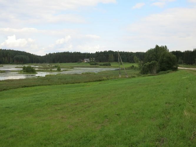 Maakond: Võrumaa Veekogu nimi: Raagsilla oja Pildistamise aeg: 15. august 2014 Pildistaja: H. Timm Pildistamise koht: Tabina paisjärv Asimuut: