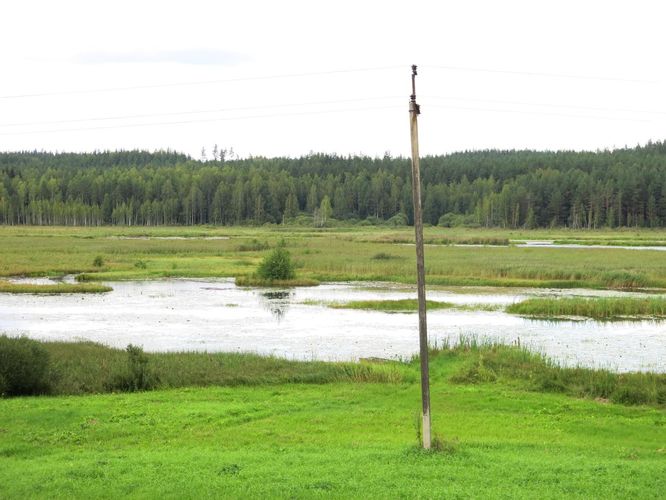 Maakond: Võrumaa Veekogu nimi: Raagsilla oja Pildistamise aeg: 15. august 2014 Pildistaja: H. Timm Pildistamise koht: Tabina paisjärv Asimuut: