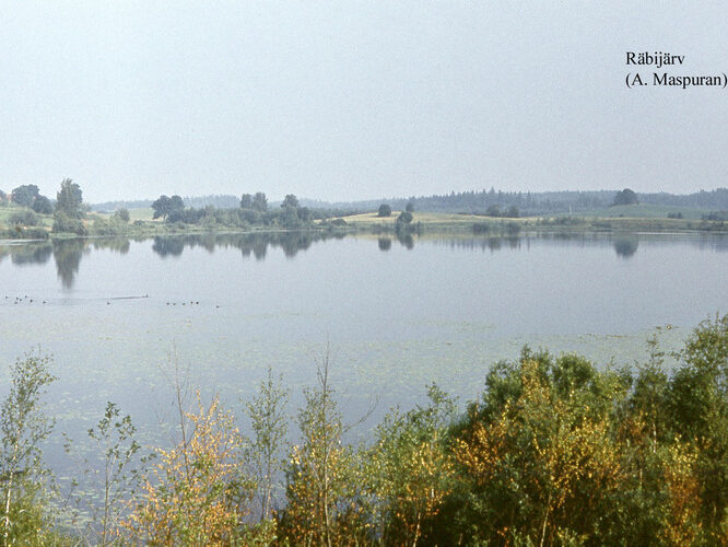 Maakond: Valgamaa Veekogu nimi: Räbi järv Pildistamise aeg: teadmata Pildistaja: A. Maspuran Pildistamise koht: teadmata Asimuut: