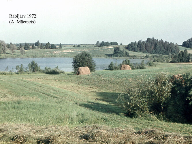 Maakond: Valgamaa Veekogu nimi: Räbi järv Pildistamise aeg: 1972 Pildistaja: A. Mäemets Pildistamise koht: teadmata Asimuut: