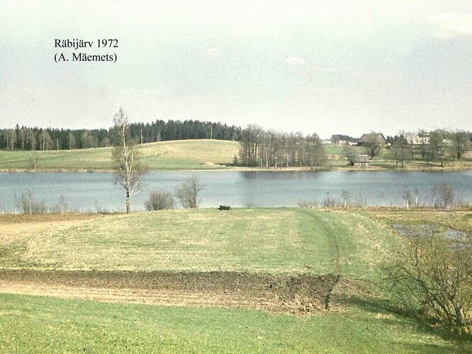 Maakond: Valgamaa Veekogu nimi: Räbi järv Pildistamise aeg: 1972 Pildistaja: A. Mäemets Pildistamise koht: teadmata Asimuut: