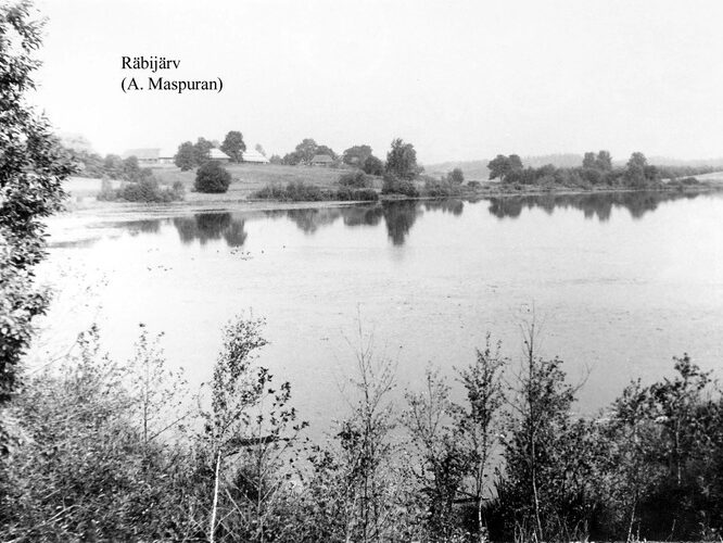 Maakond: Valgamaa Veekogu nimi: Räbi järv Pildistamise aeg: teadmata Pildistaja: A. Maspuran Pildistamise koht: teadmata Asimuut: