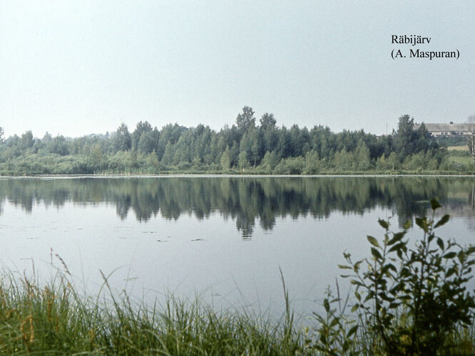 Maakond: Valgamaa Veekogu nimi: Räbi järv Pildistamise aeg: teadmata Pildistaja: A. Maspuran Pildistamise koht: teadmata Asimuut: