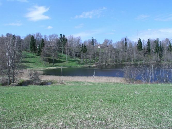 Maakond: Võrumaa Veekogu nimi: Ratasjärv Pildistamise aeg: 9. mai 2005 Pildistaja: H. Timm Pildistamise koht: teadmata Asimuut: