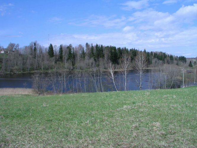 Maakond: Võrumaa Veekogu nimi: Ratasjärv Pildistamise aeg: 9. mai 2005 Pildistaja: H. Timm Pildistamise koht: teadmata Asimuut: