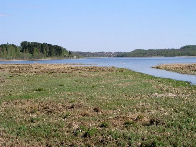 Maakond: Viljandimaa Veekogu nimi: Raudna jõgi Pildistamise aeg: 10. mai 2006 Pildistaja: H. Timm Pildistamise koht: Orika Asimuut: