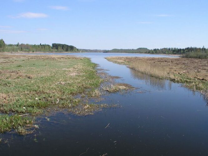 Maakond: Viljandimaa Veekogu nimi: Raudna jõgi Pildistamise aeg: 10. mai 2006 Pildistaja: H. Timm Pildistamise koht: Orika Asimuut: