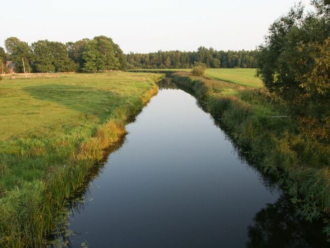 Maakond: Viljandimaa Veekogu nimi: Raudna jõgi Pildistamise aeg: 23. august 2007 Pildistaja: H. Timm Pildistamise koht: Kuusekäära Asimuut: