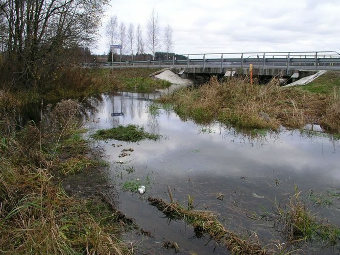 Maakond: Viljandimaa Veekogu nimi: Raudna jõgi Pildistamise aeg: 24. aprill 2008 Pildistaja: H. Timm Pildistamise koht: Orika Asimuut: