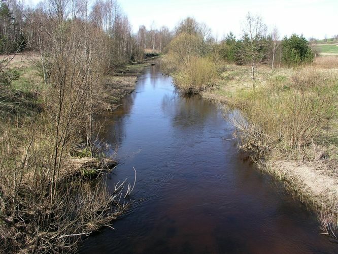 Maakond: Viljandimaa Veekogu nimi: Raudna jõgi Pildistamise aeg: 24. aprill 2008 Pildistaja: H. Timm Pildistamise koht: Päri Asimuut: