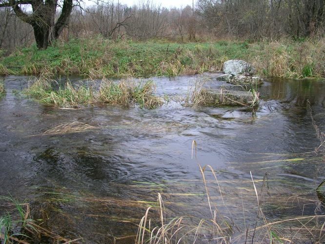 Maakond: Viljandimaa Veekogu nimi: Raudna jõgi Pildistamise aeg: 24. aprill 2008 Pildistaja: H. Timm Pildistamise koht: Orika Asimuut: