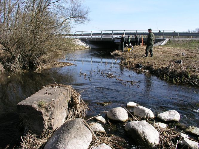 Maakond: Viljandimaa Veekogu nimi: Raudna jõgi Pildistamise aeg: 25. aprill 2009 Pildistaja: H. Timm Pildistamise koht: Orika Asimuut: