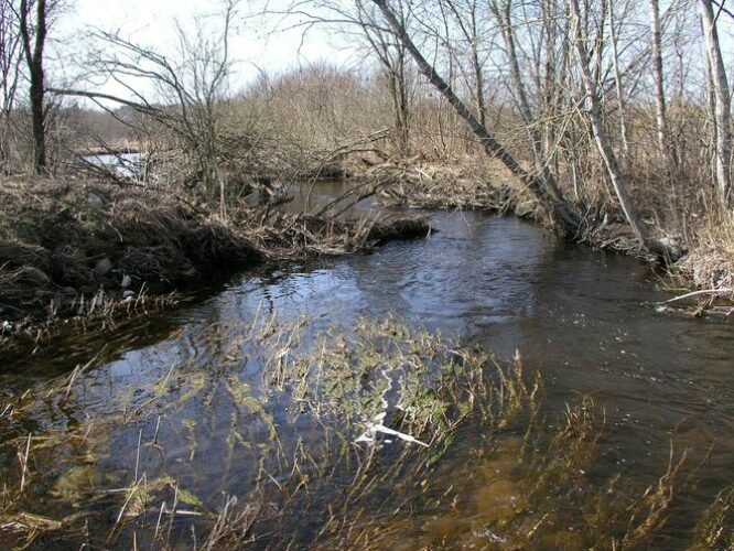 Maakond: Viljandimaa Veekogu nimi: Raudna jõgi Pildistamise aeg: 25. aprill 2009 Pildistaja: H. Timm Pildistamise koht: Orika Asimuut: