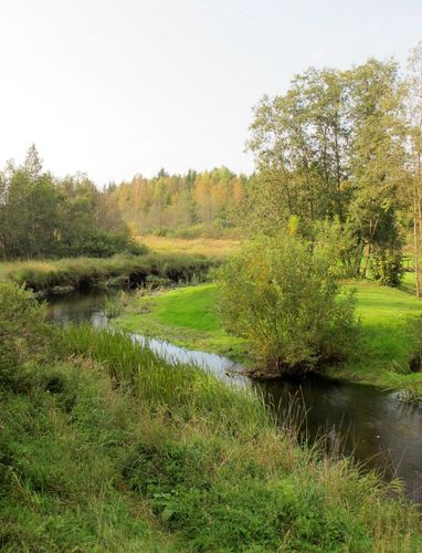 Maakond: Viljandimaa Veekogu nimi: Raudna jõgi Pildistamise aeg: 14. september 2010 Pildistaja: H. Timm Pildistamise koht: Heimtali Asimuut: