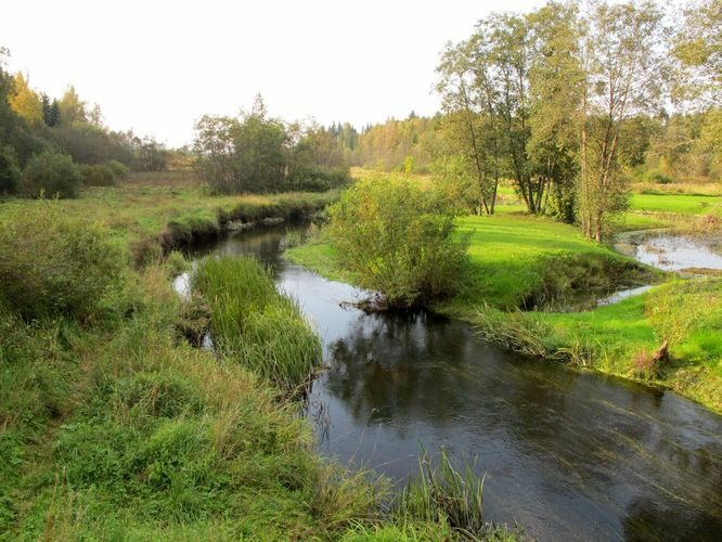 Maakond: Viljandimaa Veekogu nimi: Raudna jõgi Pildistamise aeg: 14. september 2010 Pildistaja: H. Timm Pildistamise koht: Heimtali Asimuut: