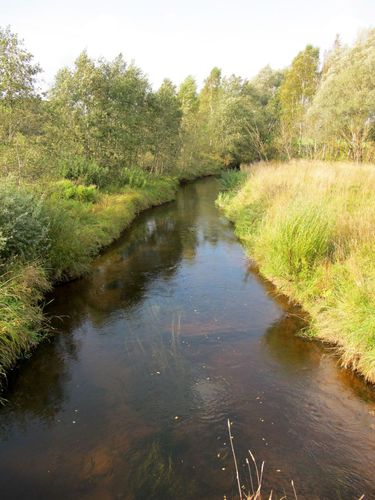 Maakond: Viljandimaa Veekogu nimi: Raudna jõgi Pildistamise aeg: 14. september 2010 Pildistaja: H. Timm Pildistamise koht: Puiatu - Alustre Asimuut: