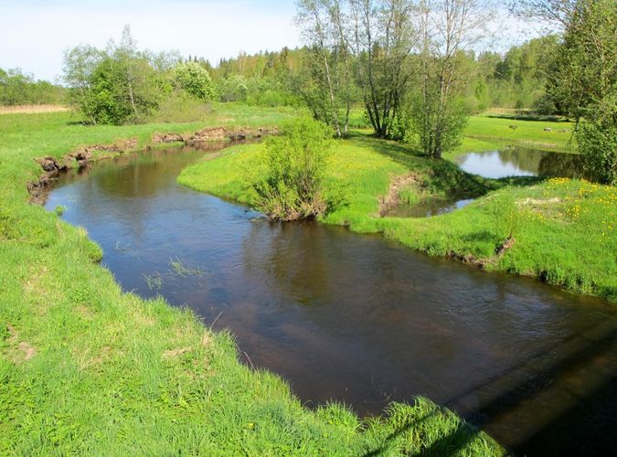 Maakond: Viljandimaa Veekogu nimi: Raudna jõgi Pildistamise aeg: 19. mai 2012 Pildistaja: H. Timm Pildistamise koht: Heimtali - Matapera Asimuut: