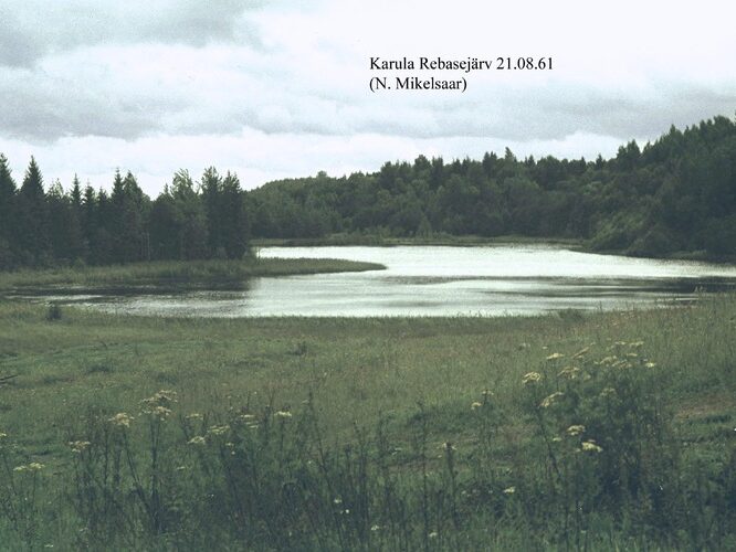 Maakond: Valgamaa Veekogu nimi: Rebasejärv Pildistamise aeg: 21. august 1961 Pildistaja: N. Mikelsaar Pildistamise koht: teadmata Asimuut: