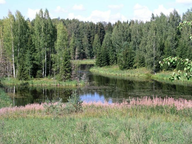 Maakond: Võrumaa Veekogu nimi: Rimmi paisjärv Pildistamise aeg: august 2006 Pildistaja: H. Timm Pildistamise koht: teadmata Asimuut: