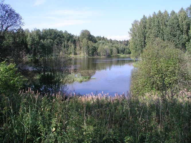 Maakond: Võrumaa Veekogu nimi: Rimmi paisjärv Pildistamise aeg: august 2006 Pildistaja: H. Timm Pildistamise koht: teadmata Asimuut: