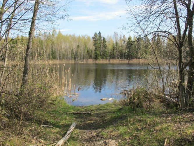 Maakond: Valgamaa Veekogu nimi: Roksi järv Pildistamise aeg: 2. mai 2012 Pildistaja: H. Timm Pildistamise koht: teadmata Asimuut: