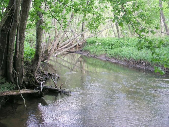 Maakond: Valgamaa Veekogu nimi: Rõngu jõgi Pildistamise aeg: 20. mai 2004 Pildistaja: H. Timm Pildistamise koht: Kõrgemäe Asimuut: