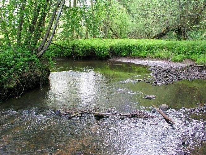 Maakond: Valgamaa Veekogu nimi: Rõngu jõgi Pildistamise aeg: 20. mai 2004 Pildistaja: H. Timm Pildistamise koht: Kõrgemäe Asimuut: