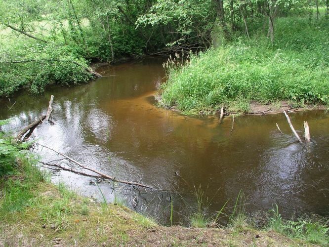 Maakond: Valgamaa Veekogu nimi: Rõngu jõgi Pildistamise aeg: 11. juuli 2004 Pildistaja: H. Timm Pildistamise koht: Kõrgemäe Asimuut: