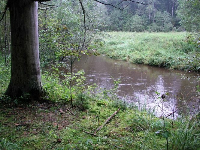 Maakond: Valgamaa Veekogu nimi: Rõngu jõgi Pildistamise aeg: 2. september 2004 Pildistaja: H. Timm Pildistamise koht: Kõrgemäe Asimuut: