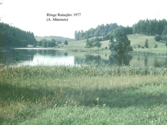 Maakond: Võrumaa Veekogu nimi: Rõuge Ratasjärv Pildistamise aeg: 1977 Pildistaja: A. Mäemets Pildistamise koht: S kaldalt Asimuut: NNW