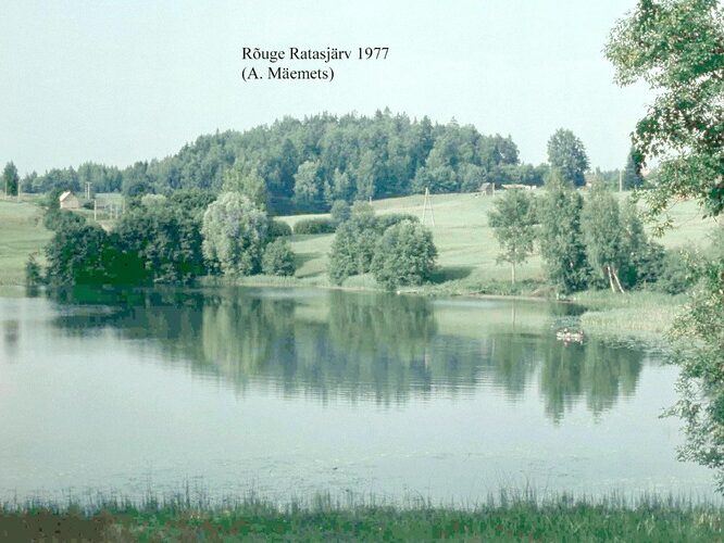 Maakond: Võrumaa Veekogu nimi: Rõuge Ratasjärv Pildistamise aeg: 1977 Pildistaja: A. Mäemets Pildistamise koht: S kaldalt Asimuut: NNE