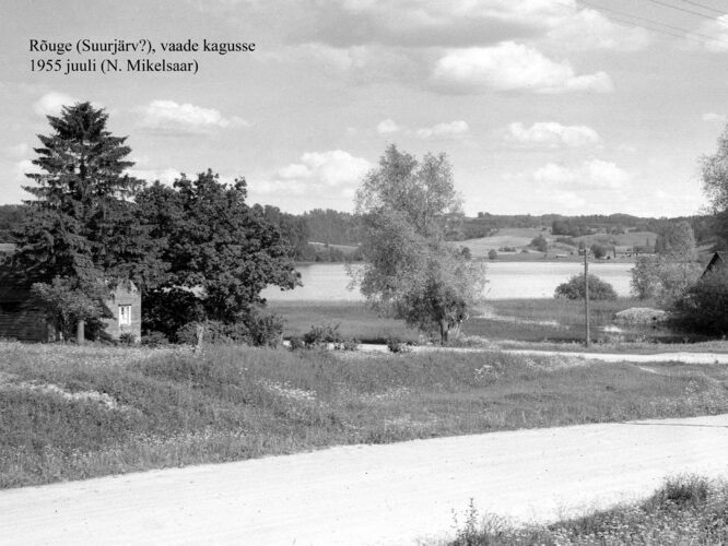 Maakond: Võrumaa Veekogu nimi: Rõuge Suurjärv Pildistamise aeg: juuli 1955 Pildistaja: N. Mikelsaar Pildistamise koht: W kaldalt? Asimuut: SE