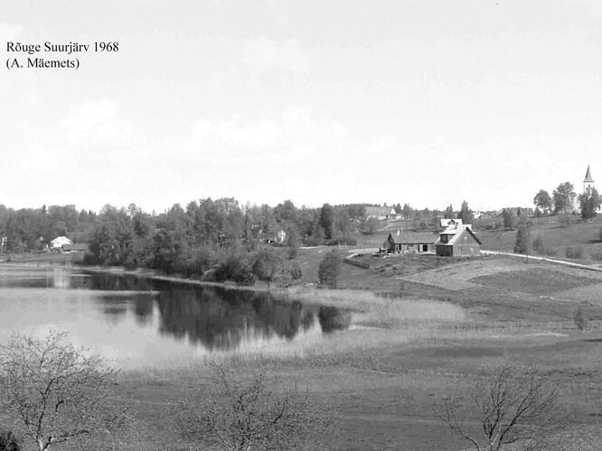 Maakond: Võrumaa Veekogu nimi: Rõuge Suurjärv Pildistamise aeg: 1968 Pildistaja: A. Mäemets Pildistamise koht: S kaldalt Asimuut: NNW