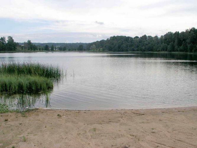 Maakond: Võrumaa Veekogu nimi: Rõuge Suurjärv Pildistamise aeg: august 2004 Pildistaja: H. Timm Pildistamise koht: teadmata Asimuut: