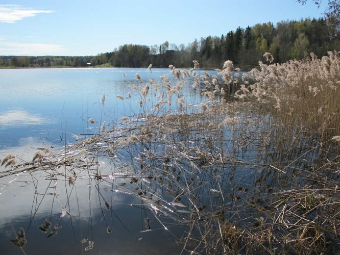 Maakond: Võrumaa Veekogu nimi: Rõuge Suurjärv Pildistamise aeg: 3. mai 2012 Pildistaja: H. Timm Pildistamise koht: teadmata Asimuut: