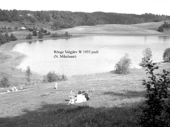 Maakond: Võrumaa Veekogu nimi: Rõuge Valgjärv Pildistamise aeg: juuli 1955 Pildistaja: N. Mikelsaar Pildistamise koht: W kaldalt Asimuut: