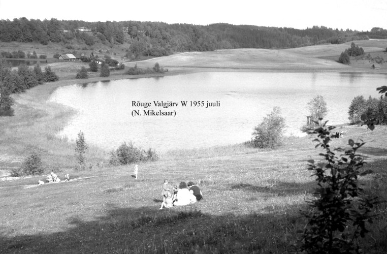 Maakond: Võrumaa Veekogu nimi: Rõuge Valgjärv Pildistamise aeg: juuli 1955 Pildistaja: N. Mikelsaar Pildistamise koht: W kaldalt Asimuut: