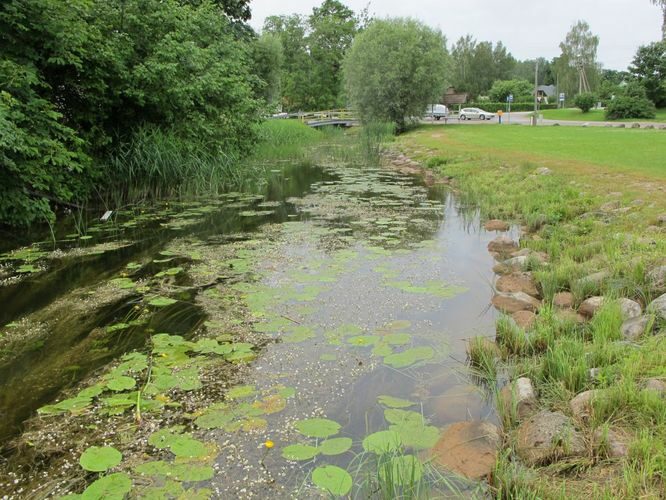 Maakond: Võrumaa Veekogu nimi: Rõuge jõgi Pildistamise aeg: 2. juuli 2012 Pildistaja: H. Timm Pildistamise koht: väljavool Suurjärvest Asimuut: