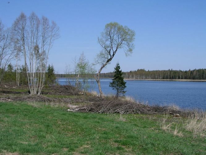 Maakond: Viljandimaa Veekogu nimi: Ruhijärv Pildistamise aeg: 12. mai 2003 Pildistaja: H. Timm Pildistamise koht: teadmata Asimuut: