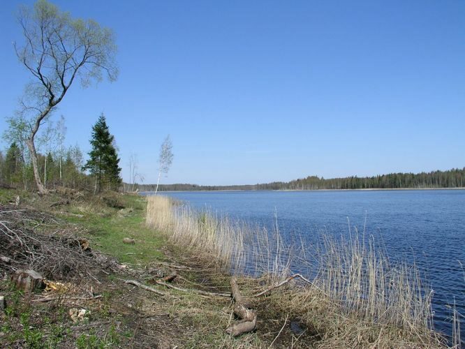 Maakond: Viljandimaa Veekogu nimi: Ruhijärv Pildistamise aeg: 12. mai 2003 Pildistaja: H. Timm Pildistamise koht: teadmata Asimuut: