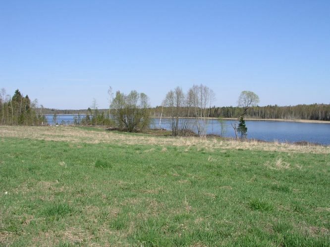 Maakond: Viljandimaa Veekogu nimi: Ruhijärv Pildistamise aeg: 12. mai 2003 Pildistaja: H. Timm Pildistamise koht: teadmata Asimuut: