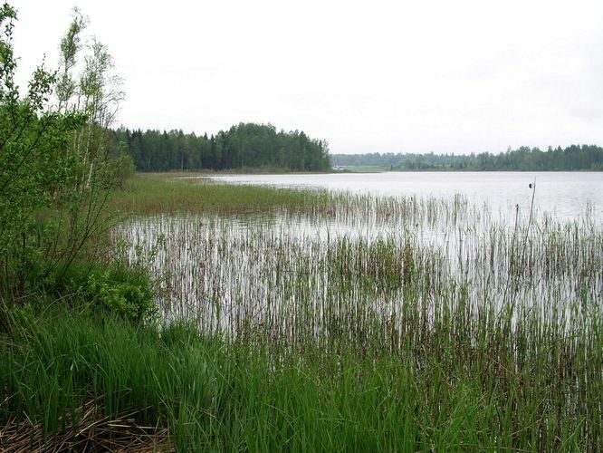 Maakond: Viljandimaa Veekogu nimi: Ruhijärv Pildistamise aeg: 12. mai 2008 Pildistaja: H. Timm Pildistamise koht: teadmata Asimuut: