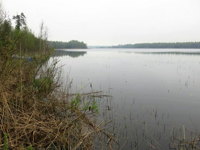 Maakond: Viljandimaa Veekogu nimi: Ruhijärv Pildistamise aeg: 13. mai 2013 Pildistaja: H. Timm Pildistamise koht: teadmata Asimuut: