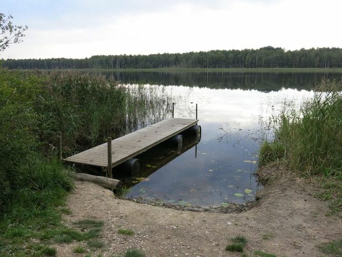 Maakond: Viljandimaa Veekogu nimi: Ruhijärv Pildistamise aeg: 31. august 2013 Pildistaja: H. Timm Pildistamise koht: teadmata Asimuut: