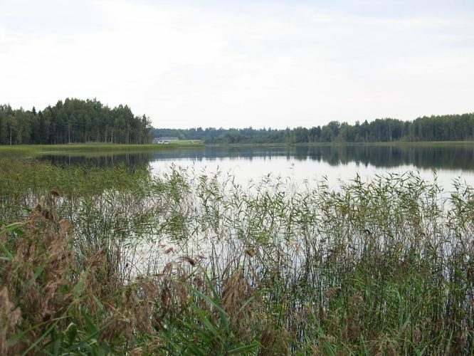 Maakond: Viljandimaa Veekogu nimi: Ruhijärv Pildistamise aeg: 31. august 2013 Pildistaja: H. Timm Pildistamise koht: teadmata Asimuut: