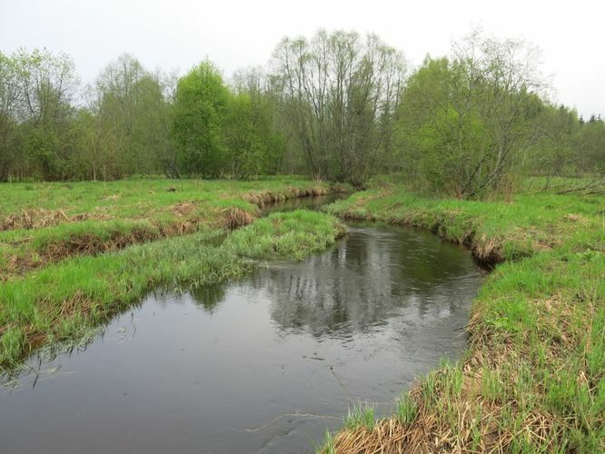 Maakond: Viljandimaa Veekogu nimi: Ruhja jõgi Pildistamise aeg: 13. mai 2013 Pildistaja: H. Timm Pildistamise koht: Läti piiril Asimuut: