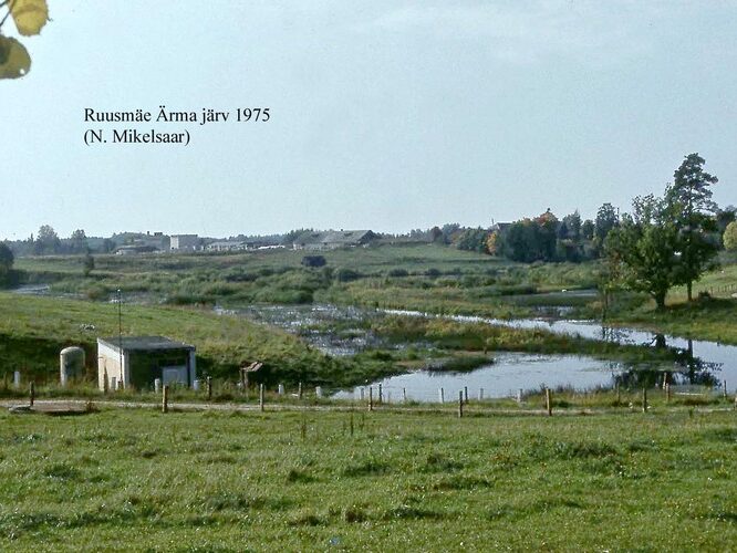 Maakond: Võrumaa Veekogu nimi: Ruusmäe Ärma järv Pildistamise aeg: 1975 Pildistaja: N. Mikelsaar Pildistamise koht: teadmata Asimuut: